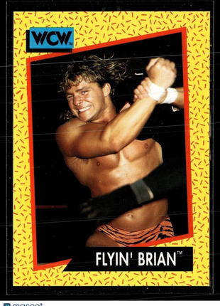 1991 IMPEL WCW #59 FLYING BRIAN PILLMAN