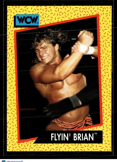 1991 IMPEL WCW #59 FLYING BRIAN PILLMAN