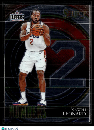2021-22 SELECT NUMBERS KAWHI LEONARD CLIPPERS
