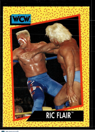 1991 IMPEL WCW #46 RIC FLAIR