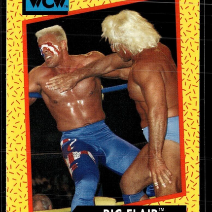 1991 IMPEL WCW #46 RIC FLAIR
