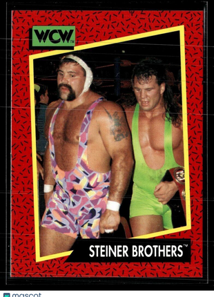 1991 IMPEL WCW #115 STEINER BROTHERS