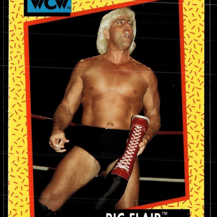 1991 IMPEL WCW #47 RIC FLAIR
