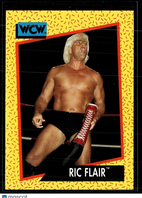 1991 IMPEL WCW #47 RIC FLAIR