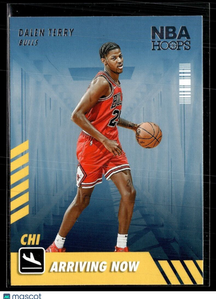 2022-23 NBA HOOPS ARRIVING NOW 18 Dalen Terry - Chicago Bulls