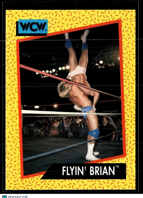 1991 IMPEL WCW #63 FLYING BRIAN PILLMAN