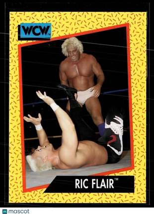 1991 IMPEL WCW #43 RIC FLAIR