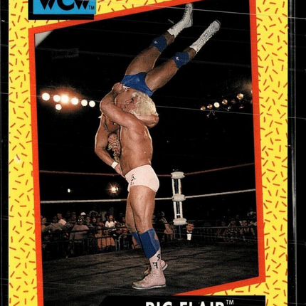 1991 IMPEL WCW #42 RIC FLAIR