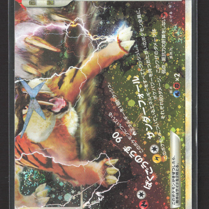 Pokemon 2010 HeartGold & SoulSilver Entei & Raikou Legend Japanese #64/80