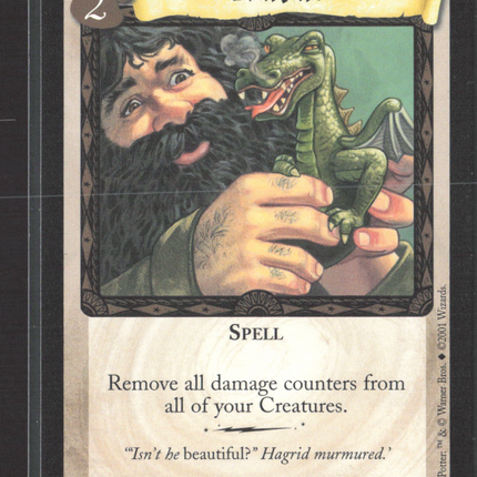 2001 Wizards of the Coast Harry Potter TCG Base Set Nature #58