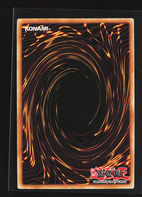Yu-Gi-Oh! The Shining Darkness Black-Winged Dragon 1st Edition