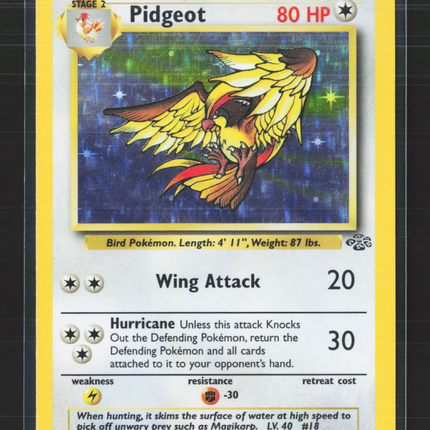 Pokemon 1999 Jungle Pidgeot #8/64