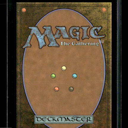 Magic: The Gathering Forest