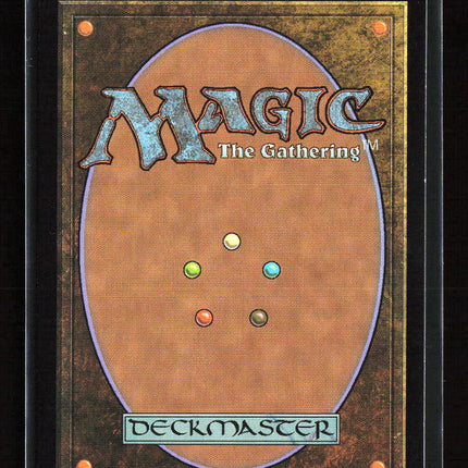 Magic: The Gathering Forest