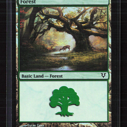 Magic: The Gathering Forest