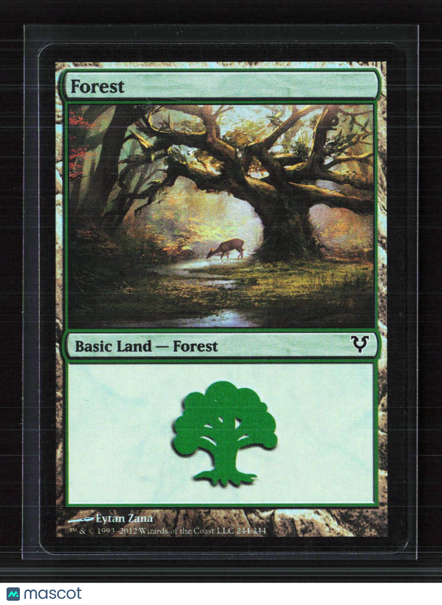 Magic: The Gathering Forest