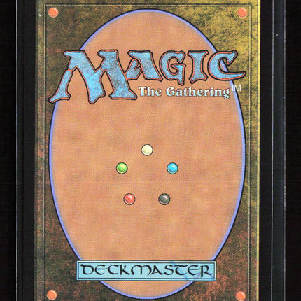 Magic: The Gathering Plains Full Art Showcase