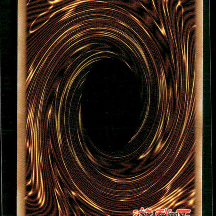 Yu-Gi-Oh! TCG Neo-Spacian Dark Panther Champion Pack 8 CP08-EN015 Unlimited