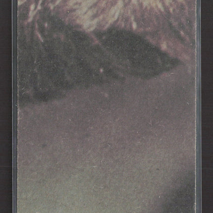 1977 Topps Star Wars Series 1 #67