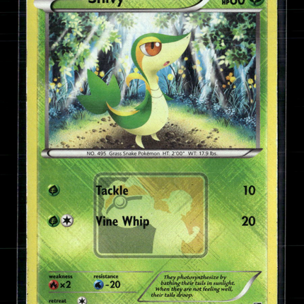 Pokemon 2011 Black & White Snivy #1/114