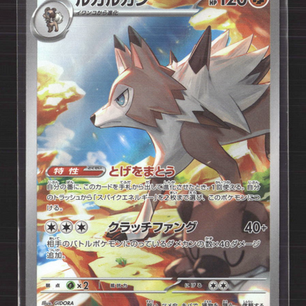 Pokemon 2025 Scarlet & Violet White Flare Lycanroc Japanese #107/100 AR