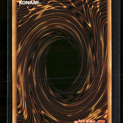Yu-Gi-Oh! Radiant Typhoon Vision Rarity Collection 5 Collector's Rare RA05-EN075