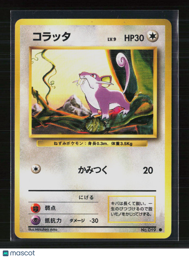 Pokemon 1996 Expansion Pack Rattata Japanese #No. 019