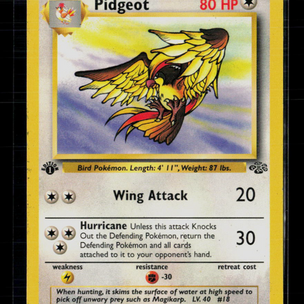 Pokemon 1999 Jungle Pidgeot 1st Edition #24/64