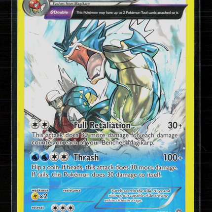 Pokemon 2015 Ancient Origins Gyarados Deck Exclusive #21/98