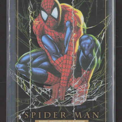 2004 SkyBox Marvel Masterpieces '92 Platinum Edition Spider Man #87