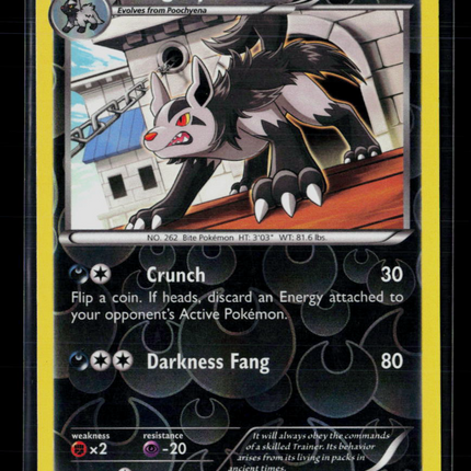 Pokemon 2014 Phantom Forces Mightyena Reverse Holo #54/119