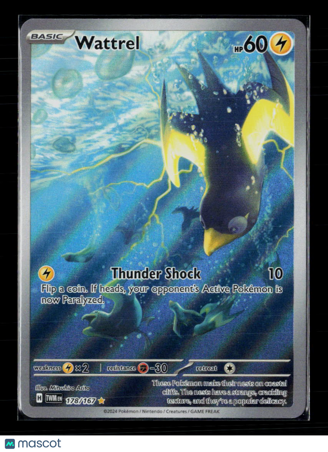 Pokemon 2024 Twilight Masquerade Wattrel #178/167