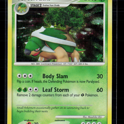 Pokemon 2007 Diamond & Pearl Torterra #17/130