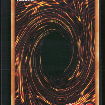 Yu-Gi-Oh! XX-Saber Gardestrike Ancient Prophecy Secret Rare ANPR-EN000 Unlimited