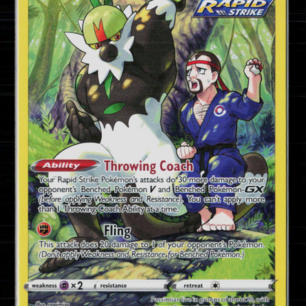 Pokemon 2022 Astral Radiance Passimian CHR #TG08/TG30