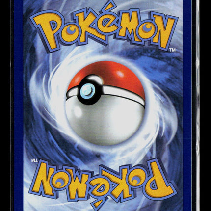 Pokemon 2025 Journey Together Swinub #165/159