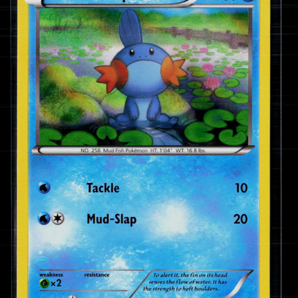 Pokemon 2014 XY Mudkip #XY38
