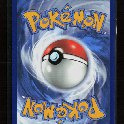 Pokemon 2020 Sword & Shield Charizard V FA #SWSH050