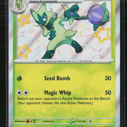 Pokemon 2024 Scarlet & Violet Floragato #SVP EN 077