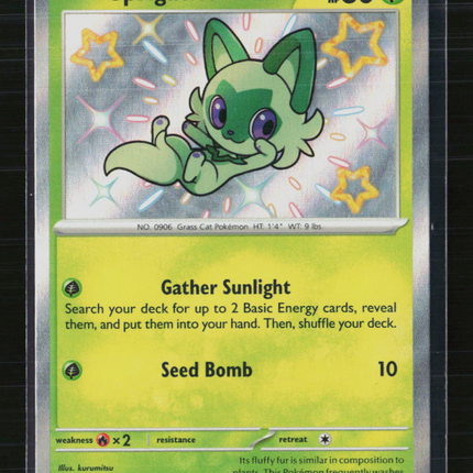 Pokemon 2024 Scarlet & Violet Promos Sprigatito #SVP EN 076