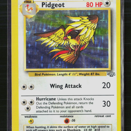 Pokemon 1999 Jungle Pidgeot #8/64