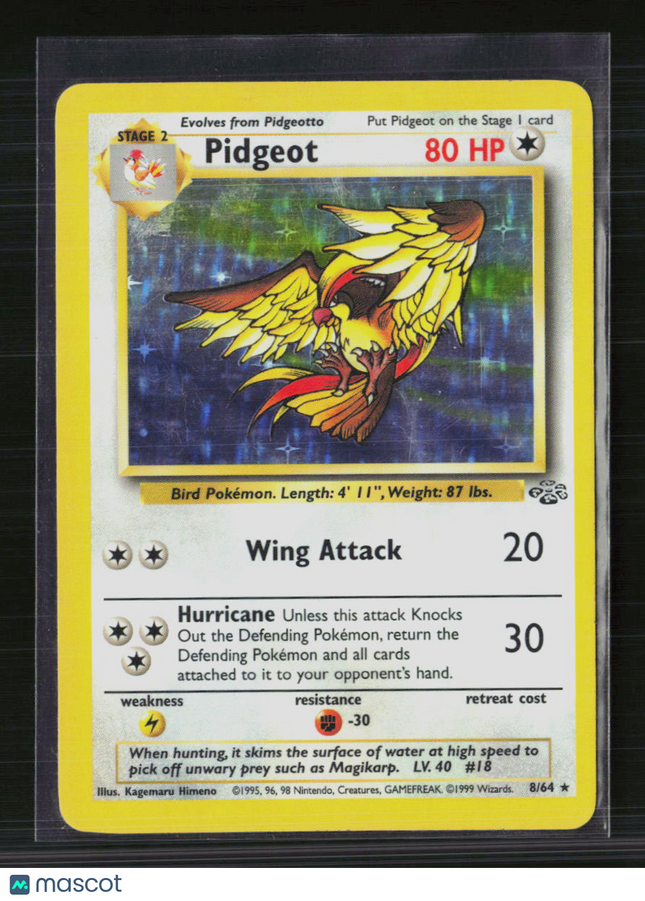 Pokemon 1999 Jungle Pidgeot #8/64