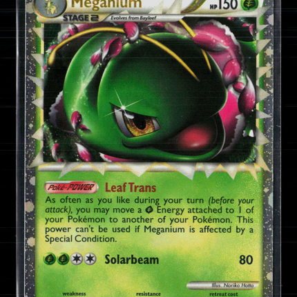 Pokemon 2010 HeartGold & SoulSilver Meganium #HGSS08