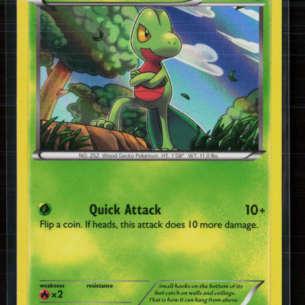 Pokemon 2014 XY Treecko #XY36
