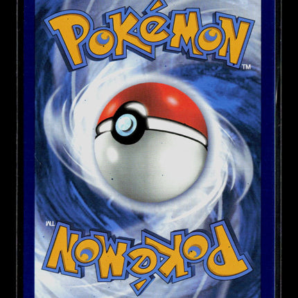 Pokemon 2024 Surging Sparks Phanpy #205/191