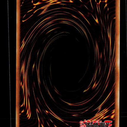 Yu-Gi-Oh! The Phantom Knights of Decayed Cloak Chaos Origins UR CORI-EN018