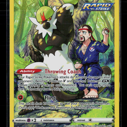Pokemon 2022 Astral Radiance Passimian CHR #TG08/TG30