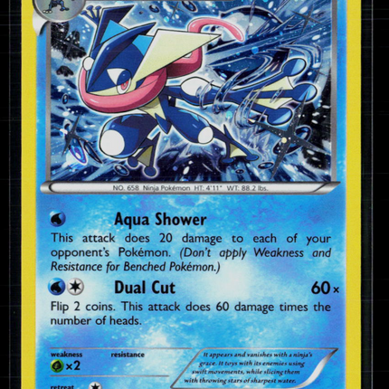 Pokemon XY Greninja #XY162
