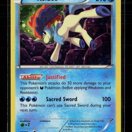 Pokemon XY Keldeo #XY191