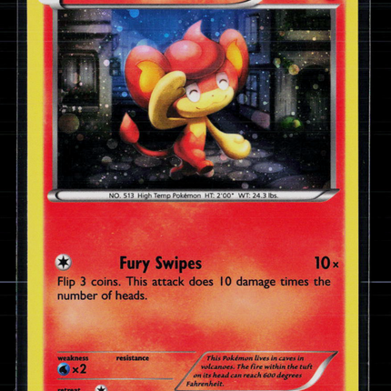 Pokemon XY Pansear #XY131